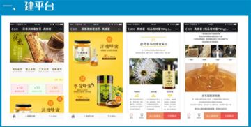 葆春蜂蜜微信營銷案例 專業(yè)設(shè)計(jì)服務(wù)如何助力品牌蜂生水起